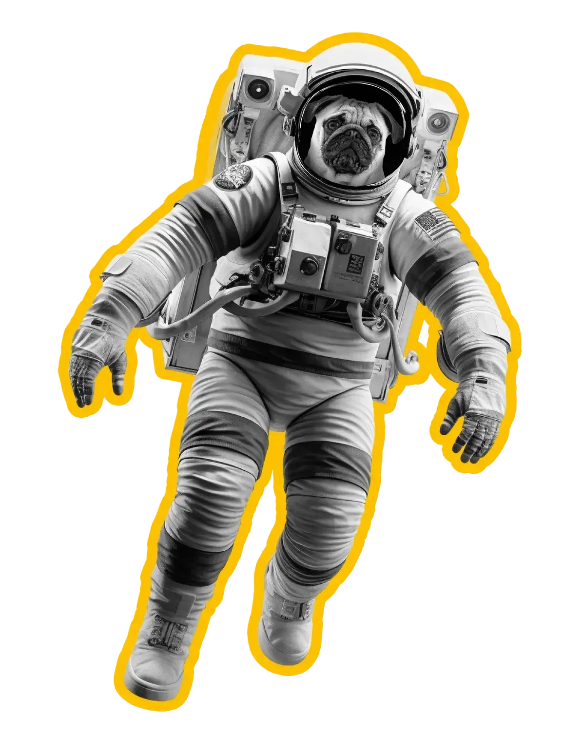 Astronaut