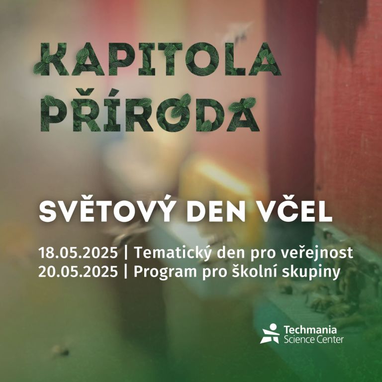 Kapitola příroda – Světový den včel