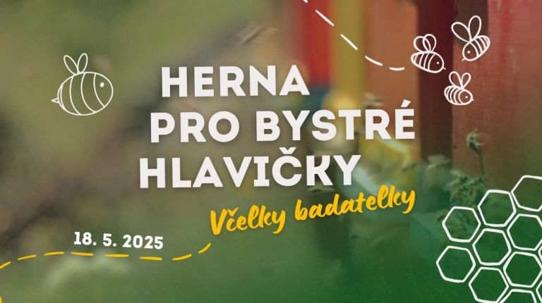 Herna pro bystré hlavičky - Včelky badatelky