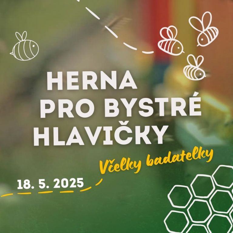 Herna pro bystré hlavičky - Včelky badatelky