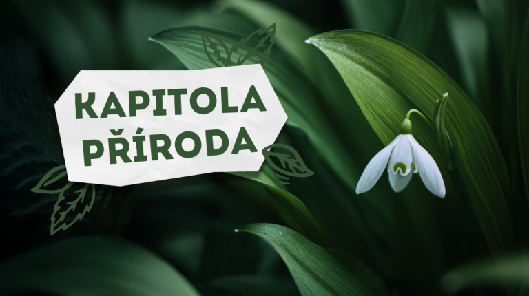 Kapitola příroda 2026