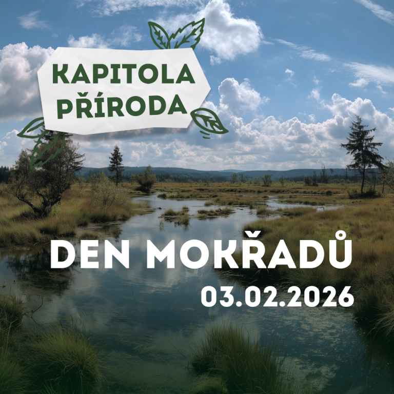 Kapitola příroda – Světový den mokřadů