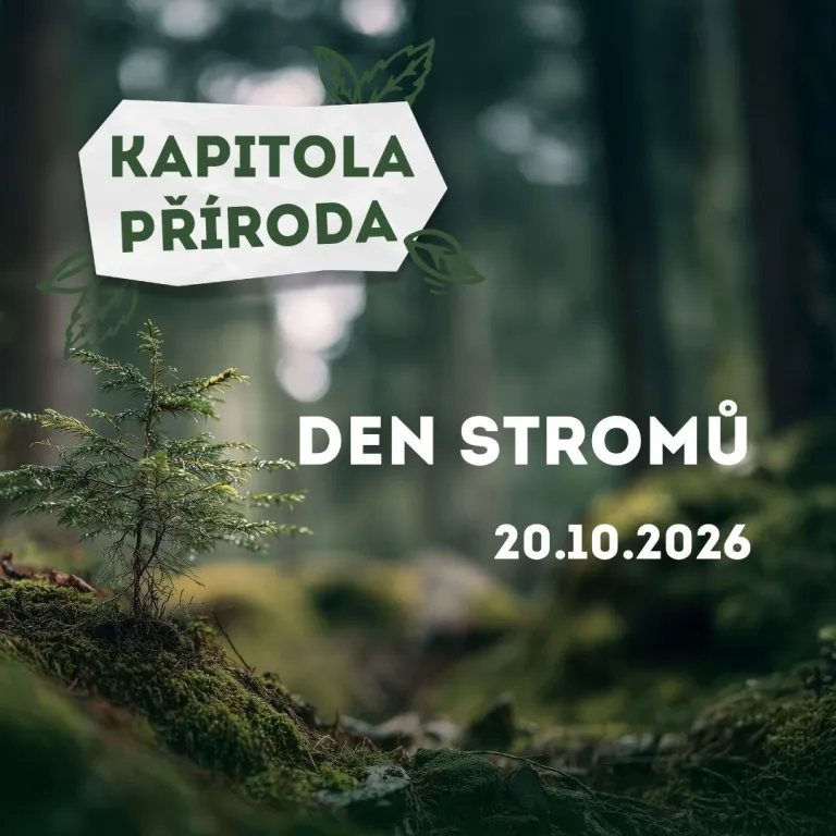 Kapitola příroda – Den stromů 2026