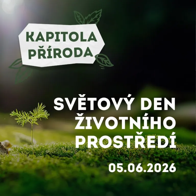Kapitola příroda – Světový den životního prostředí 2026