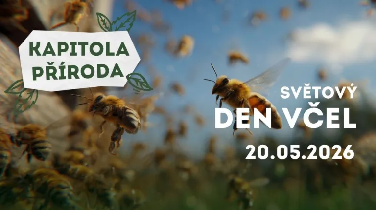 Kapitola příroda – Světový den včel 2026
