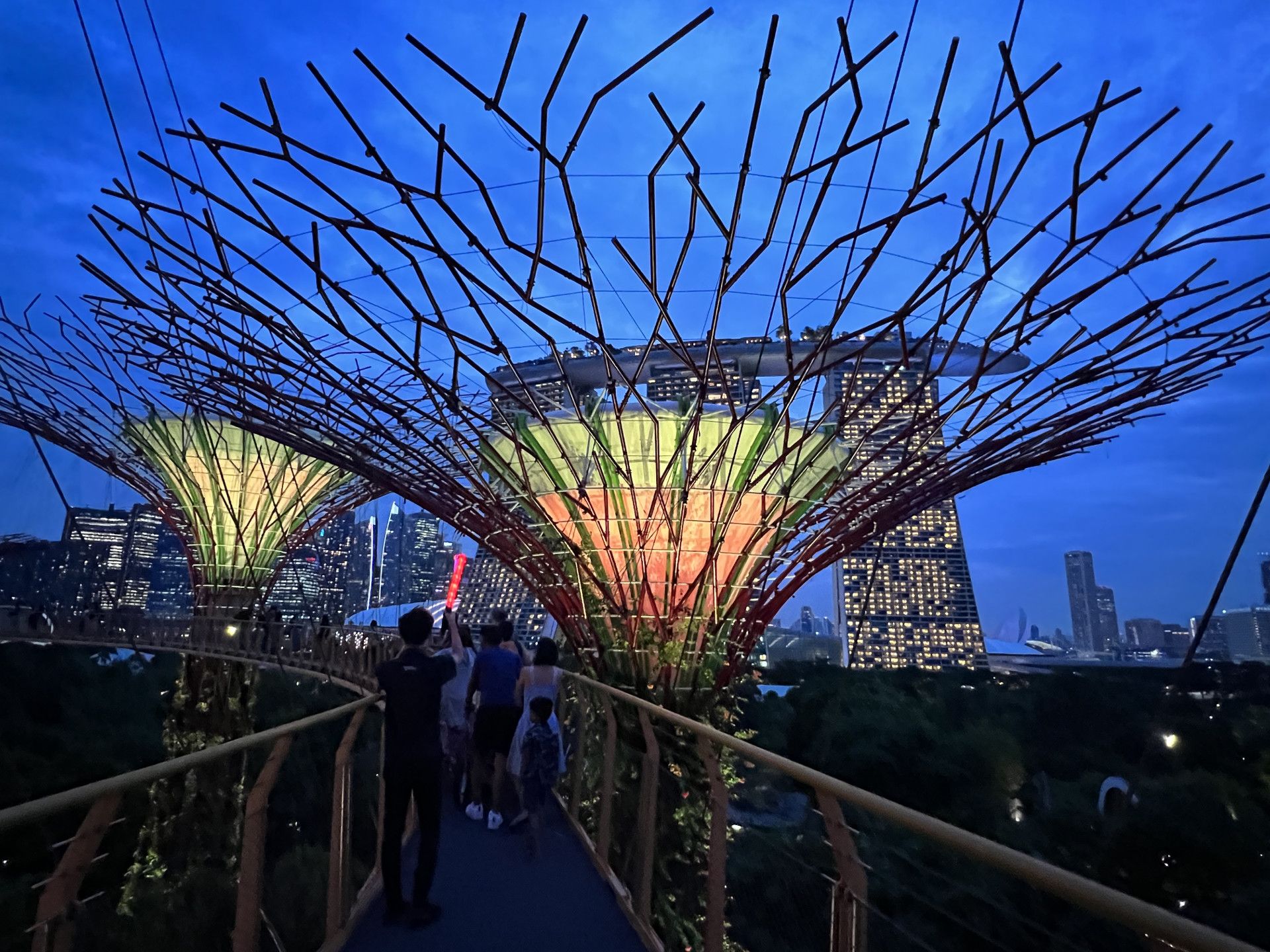 Cities of the Future